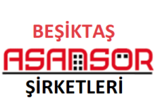 Beşiktaş Asansör Şirketleri